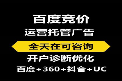 揭秘SEM竞价托管：实战案例深度解析
