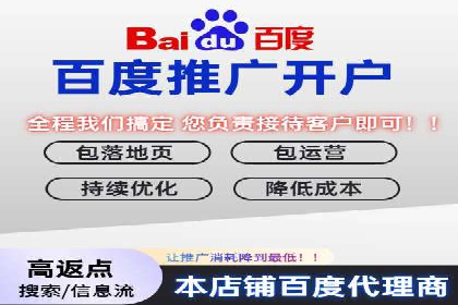 SEM外包策略在电商平台的成功案例